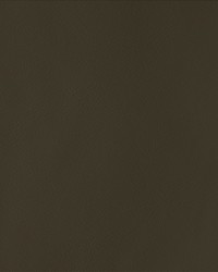 By Design Chocolate by   