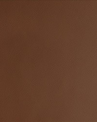 By Design Cinnamon by   