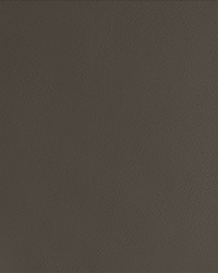 By Design Espresso by   