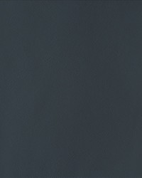 By Design Midnight by   