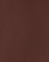 By Design Mohagany by   