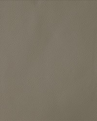 By Design Mushroom by   