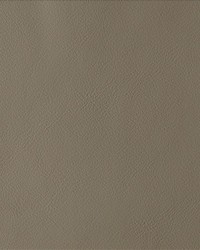 By Design Taupe by   