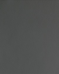 By Design Thunder by   