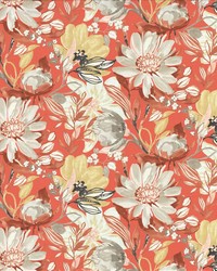 Casselberry Cherry by  Michael Jon Designs 