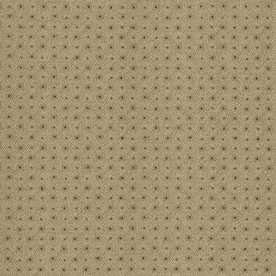 Kasmir Chiseled Patina in 5119 Green Upholstery Polyester  Blend Fire Rated Fabric Heavy Duty CA 117  NFPA 260   Fabric