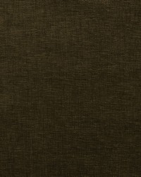 Cityview Chocolate by   