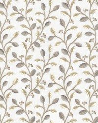 Cool Morning Arctic by   