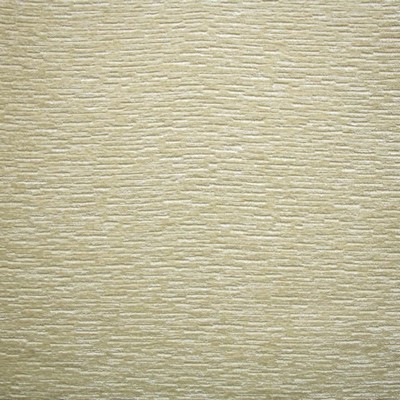 Kasmir Creation Latte in 5144 Polyester  Blend Fire Rated Fabric Heavy Duty CA 117  Solid Velvet   Fabric