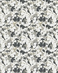 Kasmir Dayflower Grey Fabric