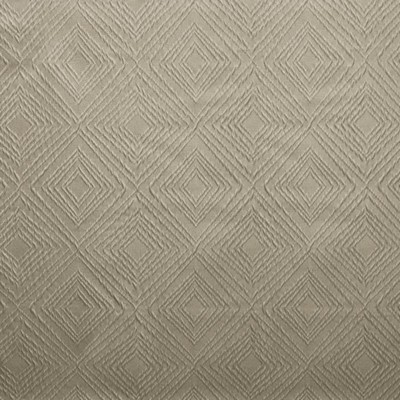 Kasmir Flawless Mist in 1460 Gray Polyester
23%  Blend Contemporary Diamond  High Wear Commercial Upholstery  Fabric