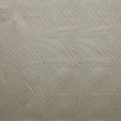 Kasmir Flawless Slate in 1460 Grey Polyester
23%  Blend Contemporary Diamond  High Wear Commercial Upholstery  Fabric
