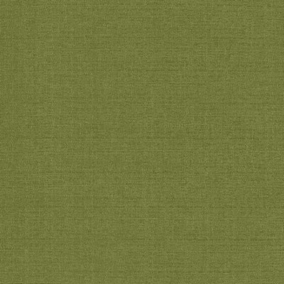 Kasmir Flynn Fern in 5164 Green Upholstery Polyester  Blend High Wear Commercial Upholstery CA 117  NFPA 260   Fabric