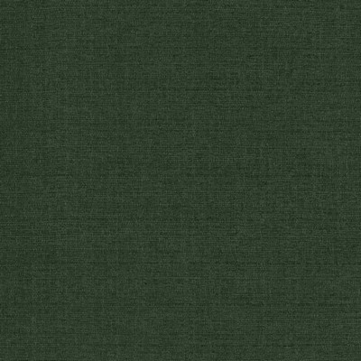 Kasmir Flynn Forest in 5164 Green Upholstery Polyester  Blend High Wear Commercial Upholstery CA 117  NFPA 260  Solid Green   Fabric
