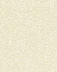 Freshwater Ivory by   