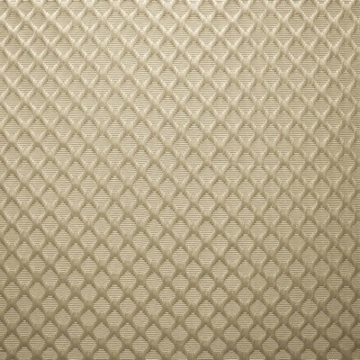 Kasmir Gaineswood Natural in 5147 Beige Polyester  Blend Solid Satin   Fabric