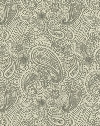Graphic Paisley Grey by   