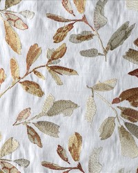 Gratitude Sherbert by   