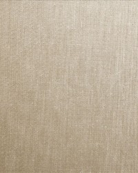 Hammock Champagne by   