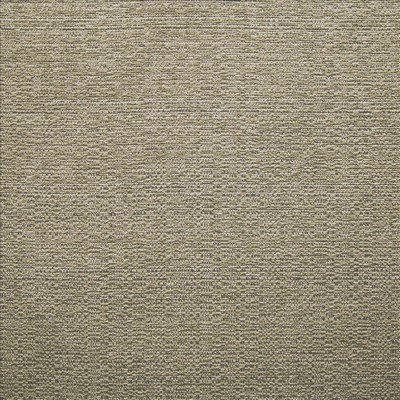 Kasmir Happening Fawn in 1466 Gray Polyester
 Fire Rated Fabric Traditional Chenille  High Wear Commercial Upholstery CA 117  NFPA 260  Metallic  Fabric