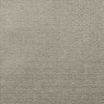 Kasmir Happening Grey in 1471 Grey Polyester
 Fire Rated Fabric Traditional Chenille  High Wear Commercial Upholstery CA 117  NFPA 260  Metallic  Fabric