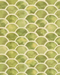 Justine Lemongrass by   