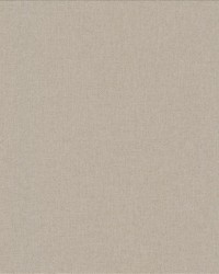 Lights Out Driftwood by   