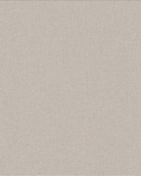 Lights Out Moonbean by   