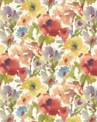 Los Cabos Garden by  Michael Jon Designs 