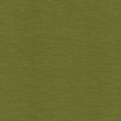 Kasmir Lucinda Avocado in 5166 Green Multipurpose Rayon  Blend Heavy Duty Solid Faux Silk  CA 117  NFPA 260   Fabric