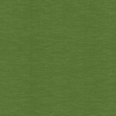 Kasmir Lucinda Grass in 5166 Green Multipurpose Rayon  Blend Heavy Duty Solid Faux Silk  CA 117  NFPA 260   Fabric