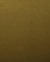 Lyndhurst Amber by  Collier Campbell 