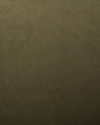 Lyndhurst Caper by  Collier Campbell 