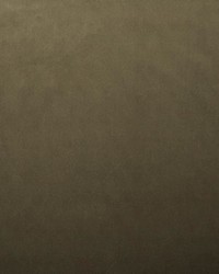 Lyndhurst Mushroom by  Collier Campbell 