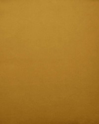 Lyndhurst Mustard by  Collier Campbell 