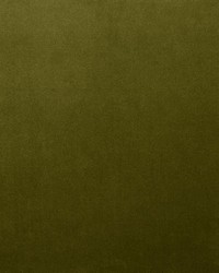 Lyndhurst Olive by  Collier Campbell 