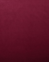 Lyndhurst Rasberry by  Collier Campbell 