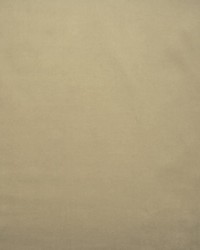 Lyndhurst Stone by  Collier Campbell 