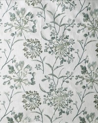 Make A Wish Serene by   