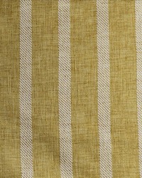 Memory Lane Dandelion by   