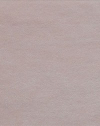 Prelude Ballet Pink by   