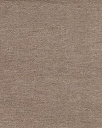 Reside Taupe by   