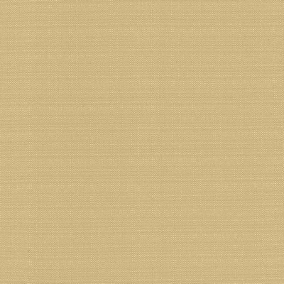 Kasmir Resilient Ricepaper in 5173 Beige Polyester
 Fire Rated Fabric High Wear Commercial Upholstery CA 117  NFPA 260   Fabric