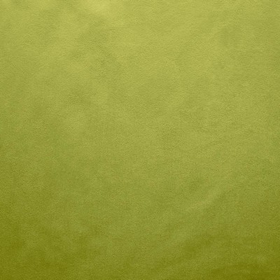 Kasmir Retrospective Iguana in 5169 Green Polyester
 Fire Rated Fabric High Performance CA 117   Fabric