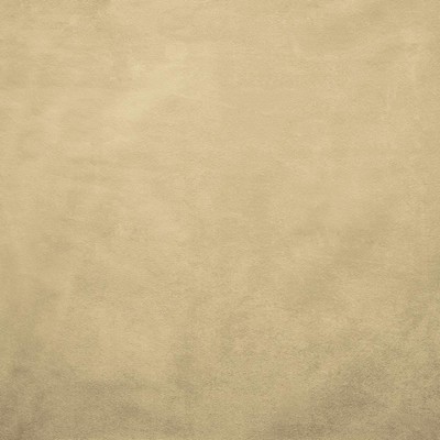 Kasmir Retrospective Ivory in 5169 Beige Polyester
 Fire Rated Fabric High Performance CA 117   Fabric