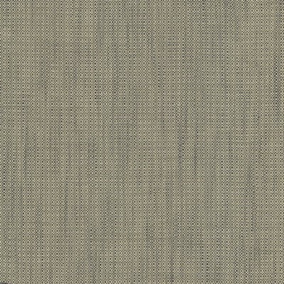Kasmir Riddler Granite in 5123 Grey Upholstery Polyester  Blend Fire Rated Fabric High Performance CA 117  NFPA 260   Fabric
