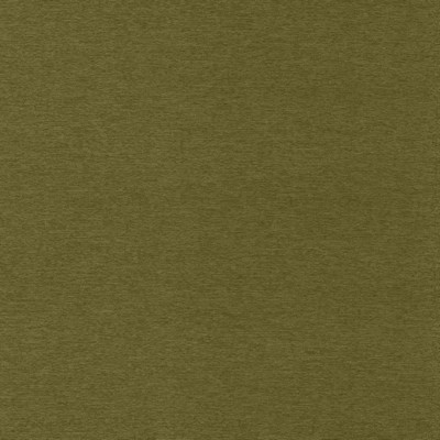 Kasmir Sheena Avocado in 5159 Green Polyester  Blend Fire Rated Fabric Traditional Chenille  Heavy Duty CA 117  NFPA 260   Fabric