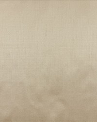 Silk Dupioni Agra by   