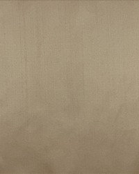 Silk Dupioni Champagne by   