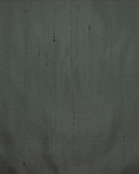 Silk Dupioni Cochin by   